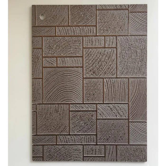 BPV-CS-704 BPV-CS-704