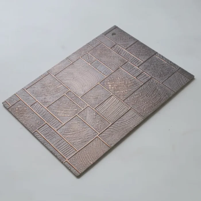 BPV-CS-704_1 BPV-CS-704_1